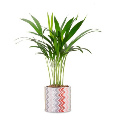 Кашпо для цветов Scheurich Inspiration 1,52л керамическое дизайнерское