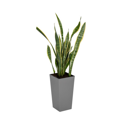 Вазон Plastkon ELISE 20x20x36см каменный матовый