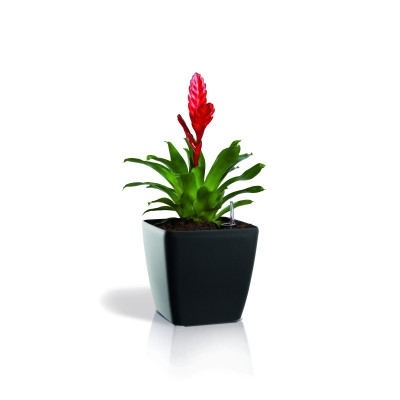 Вазон Plastkon Quadrato Flower Lover 18x18x17см антрацит