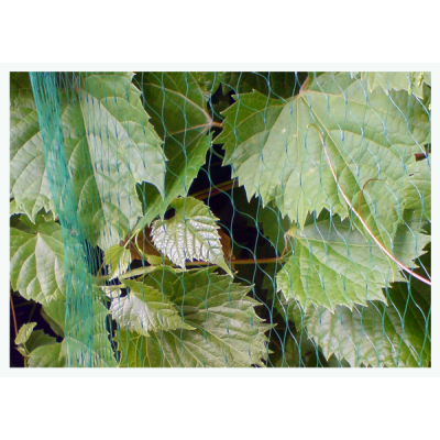 Сетка защитная от птиц Bradas BIRD NET 19x19мм, 5x10м (AS-BN71919510)