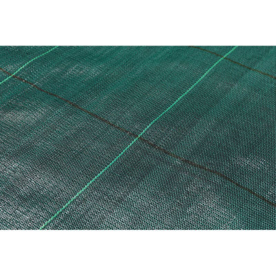 Агроткань Bradas зеленая 100г/м2 1,2х100м (ATGDGR10012100)